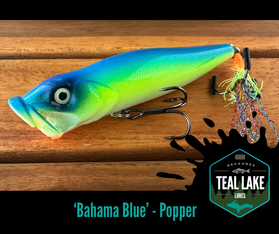 'Bahama Blue' - Popper