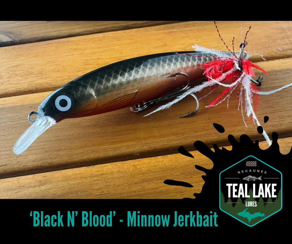 Black N' Blood Minnow Jerkbait – Teal Lake Lures