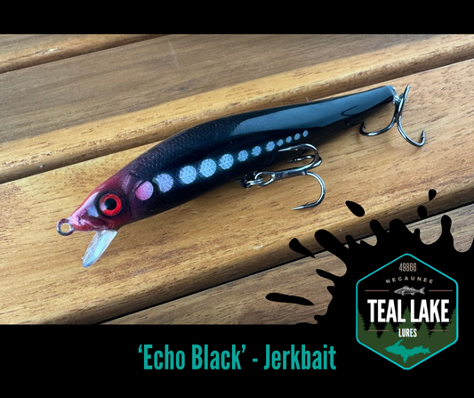 Echo Black Jerkbait