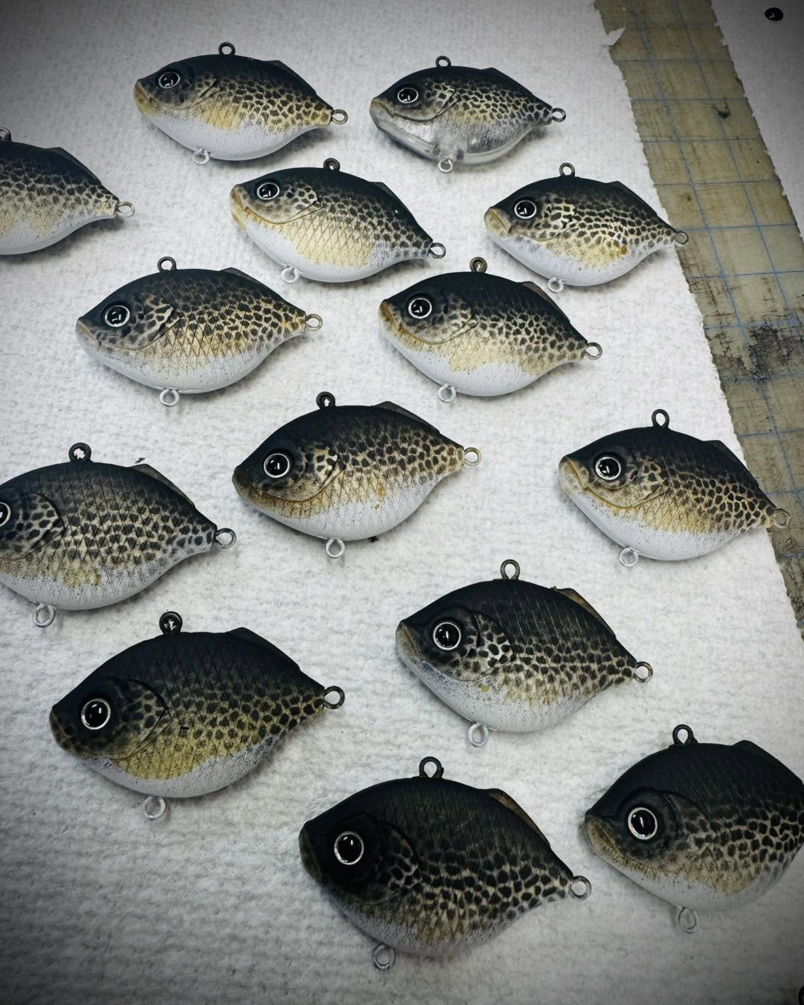 Lipless Black Crappie