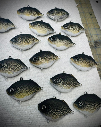 Lipless Black Crappie