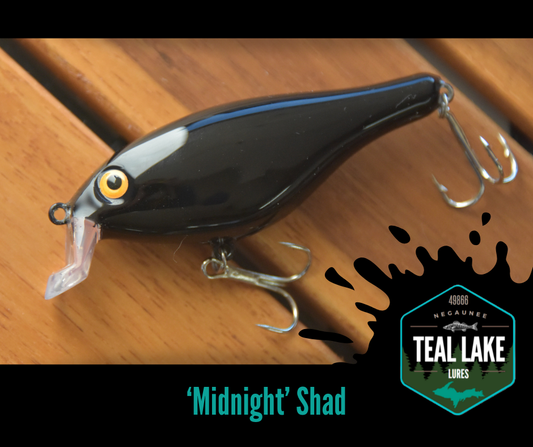 Midnight Shad