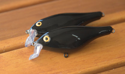 Midnight Shad