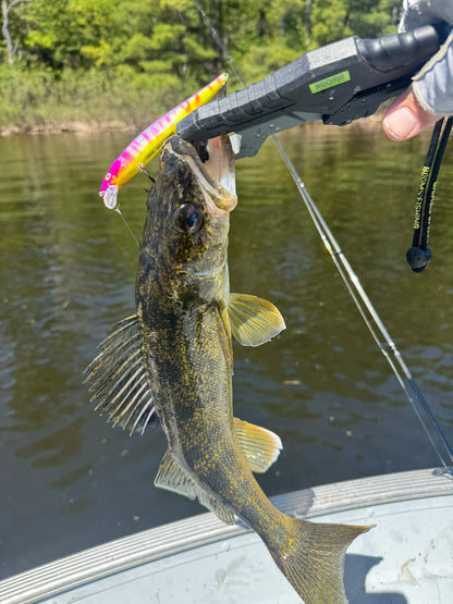 Pink Zebra Jerkbait