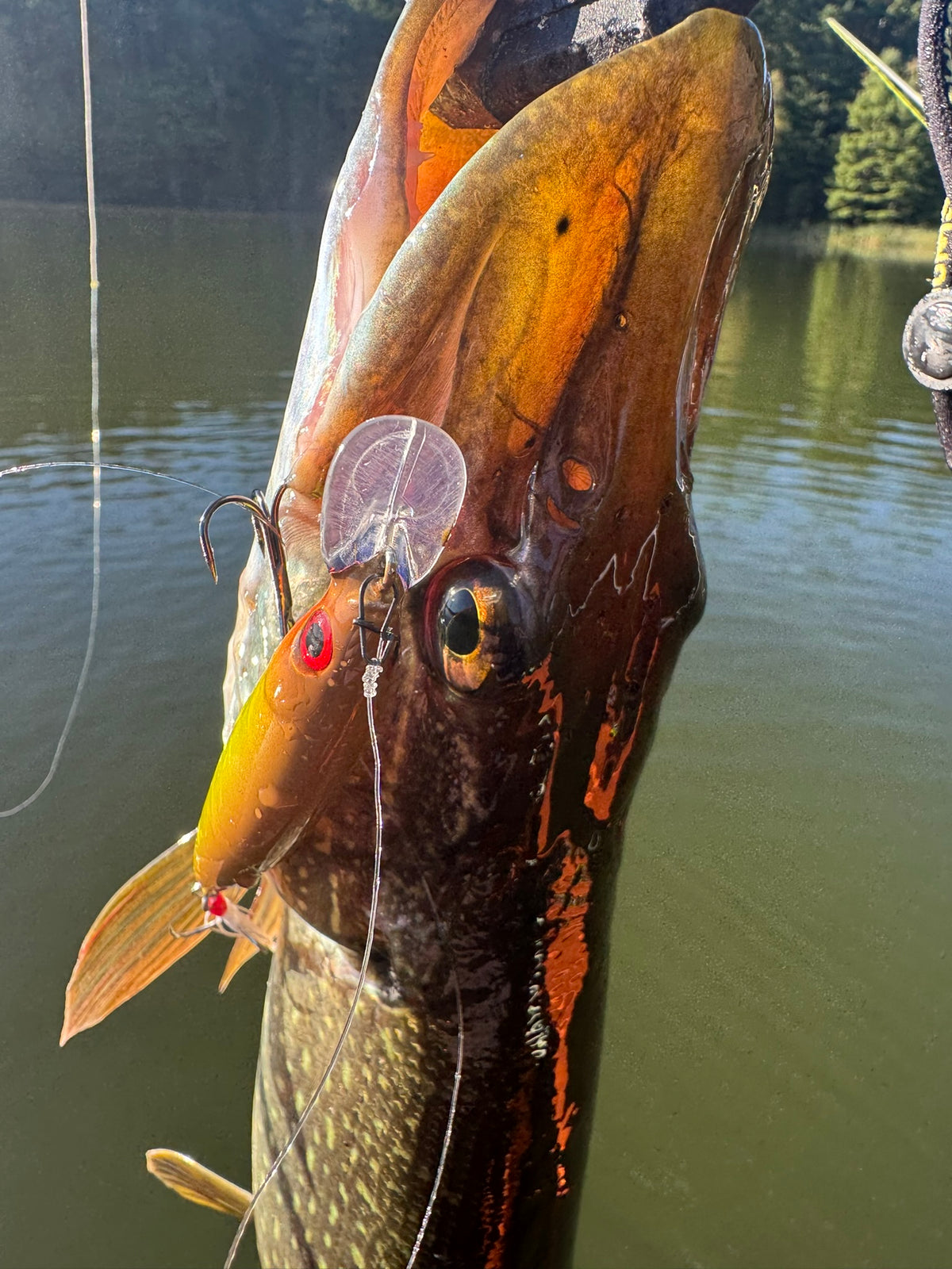 Hunting Season Minnow Jerkbait